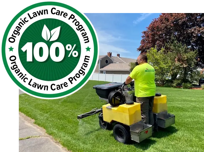 natural organic lawn care