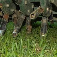 aerating lawn