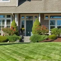 green grass front lawn