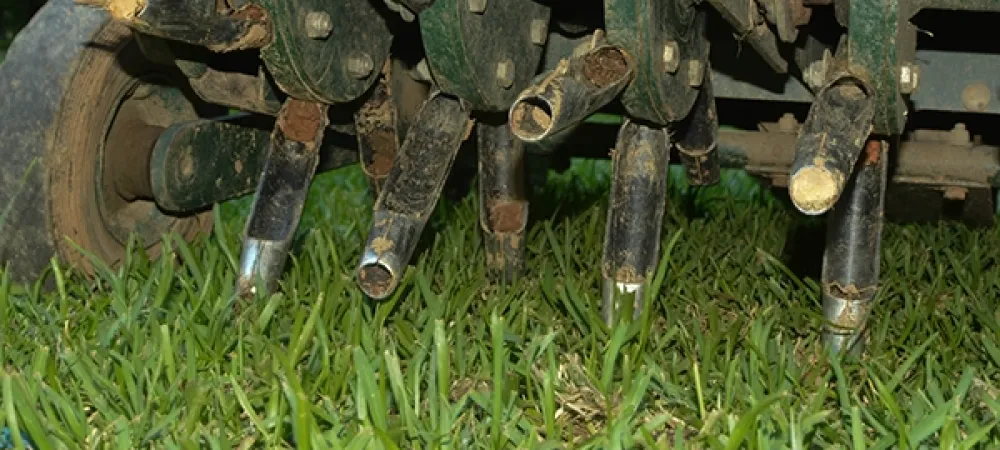 aerating lawn