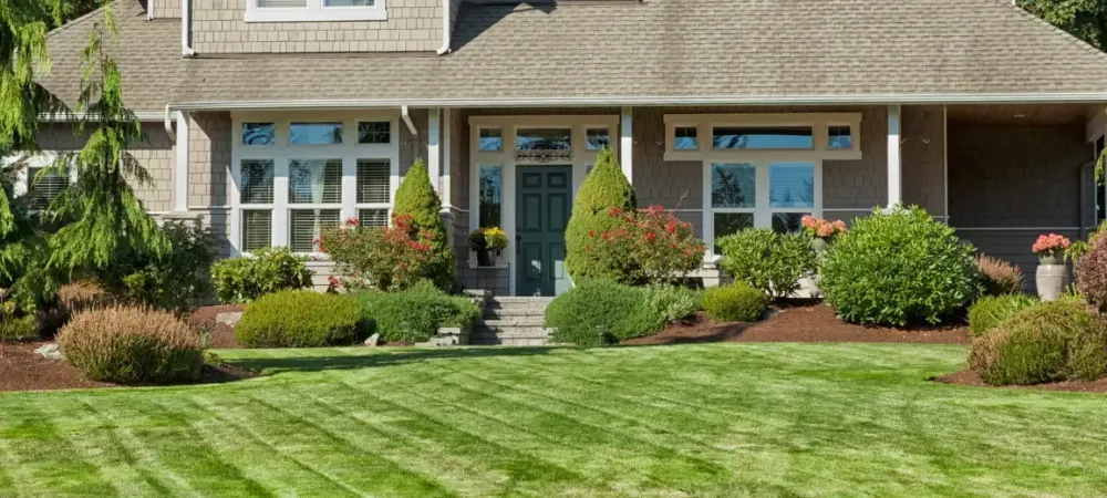 green grass front lawn